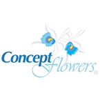 Internet Marketing and SEO Company