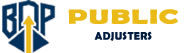 Public Adjuster